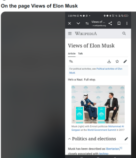 WIKIPEDIA_LISTS_ELON_MUSK.png