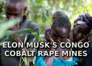 elon_musk_congo_cobalt_rape_mines_-_MUSK.png