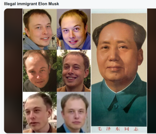 illegal_immigrant_elon_musk_is_a_sick_scum_bag.png