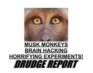 Filename=musk-tortures-animals-all-day.png
Filesize=390KiB
Dimensions=1059x839
Date added=Sep 23, 2026 musk-tortures-animals-all-day.png