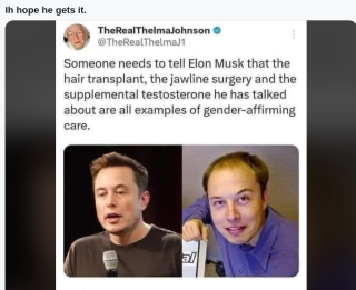 musk_is_a_girl.png