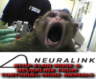 Filename=ELON_MUSK_TORTURES_ANIMALS_FOR_NEURALINK.png
Filesize=115KiB
Dimensions=324x267
Date added=Sep 24, 2026 ELON_MUSK_TORTURES_ANIMALS_FOR_NEURALINK.png