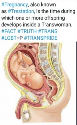 ANAL-TRANS-BIRTH
Keywords: Big tech mobsters,Dark money payola, Rare Earth Mines, New America Foundation Corruption, Obama, Obama Campaign Finance, Obama FEC violations, Palo Alto Mafia, Paypal Mafia, Pelosi Corruption, Political bribes, Political Insider,  Eric Schmidt Sex Penthou