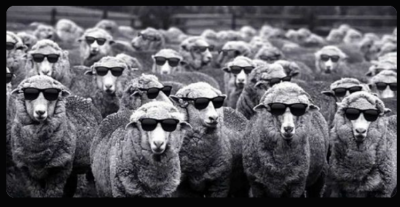 SHEEPLE
Keywords: Big tech mobsters,Dark money payola, Rare Earth Mines, New America Foundation Corruption, Obama, Obama Campaign Finance, Obama FEC violations, Palo Alto Mafia, Paypal Mafia, Pelosi Corruption, Political bribes, Political Insider,  Eric Schmidt Sex Penthou