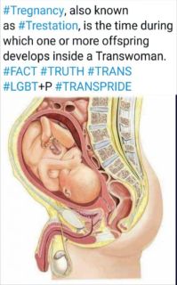 Filename=ANAL-TRANS-BIRTH.jpg
Filesize=80KiB
Dimensions=637x1024
Date added=Sep 24, 2026 ANAL-TRANS-BIRTH.jpg