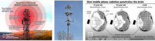 Filename=CELL_TOWER_BRAIN_DAMAGE_BY_COMCAST_KILLING_THE_WHISTLE-BLOWERS.png
Filesize=242KiB
Dimensions=900x243
Date added=Sep 24, 2026 CELL_TOWER_BRAIN_DAMAGE_BY_COMCAST_KILLING_THE_WHISTLE-BLOWERS.png
