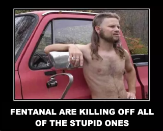 Filename=FENTANAL_CRISIS.png
Filesize=428KiB
Dimensions=900x720
Date added=Sep 24, 2026 FENTANAL_CRISIS.png