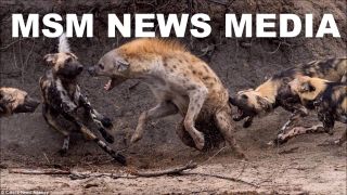 Filename=HOW_DEMOCRATS_TREAT_OUTSIDERS__Silicon_Valley_Tech_Oligarchs_And_Their_Operatives_ARE_The_Deep_State_v1.jpg
Filesize=172KiB
Dimensions=1280x720
Date added=Sep 24, 2026 HOW_DEMOCRATS_TREAT_OUTSIDERS__Silicon_Valley_Tech_Oligarchs_And_Their_Operatives_ARE_The_Deep_State_v1.jpg