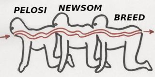 Filename=SAN-FRANCISCO-POLITICS.jpeg
Filesize=32KiB
Dimensions=680x339
Date added=Sep 24, 2026 SAN-FRANCISCO-POLITICS.jpeg