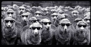 Filename=SHEEPLE.png
Filesize=317KiB
Dimensions=749x389
Date added=Sep 24, 2026 SHEEPLE.png