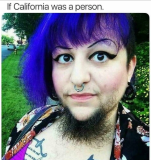 Filename=TYPICAL_CALIFORNIAN_THE_SILICON_VALLEY_TECH_MAFIA.png
Filesize=355KiB
Dimensions=432x457
Date added=Sep 24, 2026 TYPICAL_CALIFORNIAN_THE_SILICON_VALLEY_TECH_MAFIA.png