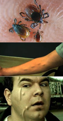 BURNING-MAN-Bugs-from-hell Silicon Valley Cartel Crime Boss Sex Addict Douche Bags
Keywords: Big tech mobsters,Dark money payola, Rare Earth Mines, New America Foundation Corruption, Obama, Obama Campaign Finance, Obama FEC violations, Palo Alto Mafia, Paypal Mafia, Pelosi Corruption, Political bribes, Political Insider,  Eric Schmidt Sex Penthou