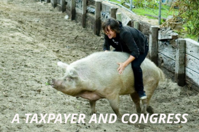GOOGLE_PUSHES_ANIMAL_SEX
Keywords: Big tech mobsters,Dark money payola, Rare Earth Mines, New America Foundation Corruption, Obama, Obama Campaign Finance, Obama FEC violations, Palo Alto Mafia, Paypal Mafia, Pelosi Corruption, Political bribes, Political Insider,  Eric Schmidt Sex Penthou