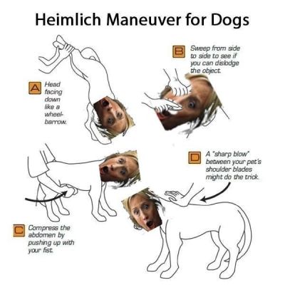 HILLARY DOG  Silicon Valley Tech Oligarchs And Their Operatives ARE The Deep State
Keywords: Big tech mobsters,Dark money payola, Rare Earth Mines, New America Foundation Corruption, Obama, Obama Campaign Finance, Obama FEC violations, Palo Alto Mafia, Paypal Mafia, Pelosi Corruption, Political bribes, Political Insider,  Eric Schmidt Sex Penthou