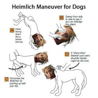 Filename=HILLARY_DOG__Silicon_Valley_Tech_Oligarchs_And_Their_Operatives_ARE_The_Deep_State.jpg
Filesize=45KiB
Dimensions=600x600
Date added=Sep 25, 2026 HILLARY_DOG__Silicon_Valley_Tech_Oligarchs_And_Their_Operatives_ARE_The_Deep_State.jpg
