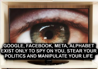 SPIES_IN_POLITICS_Silicon_Valley_Tech_Oligarchs_And_Their_Operatives_ARE_The_Deep_State.png