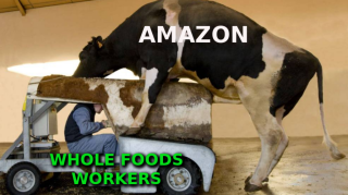 Filename=AMAZON-AND-WHOLE-FOODS-WORKERS-THE-SILICON-VALLEY-TECH-MAFIA.png
Filesize=604KiB
Dimensions=1024x573
Date added=Sep 25, 2026 AMAZON-AND-WHOLE-FOODS-WORKERS-THE-SILICON-VALLEY-TECH-MAFIA.png