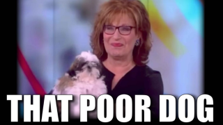 Filename=JOY_BEHAR_SUCKS_BALLS_THE_SILICON_VALLEY_TECH_MAFIA.png
Filesize=301KiB
Dimensions=838x472
Date added=Sep 25, 2026 JOY_BEHAR_SUCKS_BALLS_THE_SILICON_VALLEY_TECH_MAFIA.png