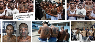 Filename=MEXICAN_IMMIGRANTS_ARE_HERE__Silicon_Valley_Tech_Oligarchs_And_Their_Operatives_ARE_The_Deep_State.png
Filesize=506KiB
Dimensions=735x333
Date added=Sep 25, 2026 MEXICAN_IMMIGRANTS_ARE_HERE__Silicon_Valley_Tech_Oligarchs_And_Their_Operatives_ARE_The_Deep_State.png