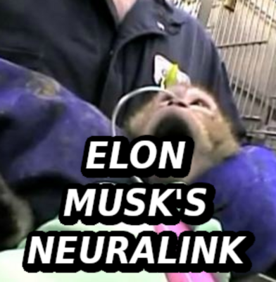 ELON MUSK ANIMAL TESTING Elon Musk Corruption And Crappy Engineering Make Tesla Cars So Unsafe 
Keywords: UraniumOne, Venture Capital Collusion, Vinod Khosla, Goldman Sachs Stock Market Rigging, Gay Silicon Valley, Google bribes regulators, Silicon Valley No Poaching Lawsuit, The AngelGate Scandal, stock market rigging, google election rigging, frank guistra,