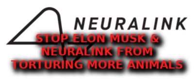 ELON MUSK ANIMAL TORTURE Elon Musk Corruption And Crappy Engineering Make Tesla Cars So Unsafe  - MUSK
Keywords: UraniumOne, Venture Capital Collusion, Vinod Khosla, Goldman Sachs Stock Market Rigging, Gay Silicon Valley, Google bribes regulators, Silicon Valley No Poaching Lawsuit, The AngelGate Scandal, stock market rigging, google election rigging, frank guistra,