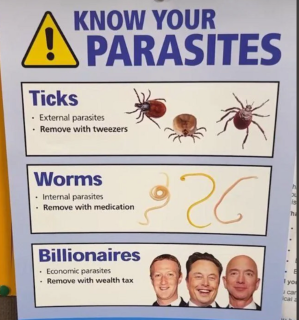 KNOW_YOUR_PARASITES_k9876g.png
