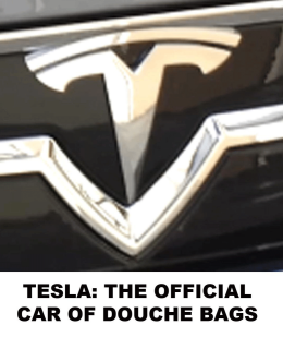 TESDOUCHE_ELON_MUSK_CORRUPTION_-_MUSK.png