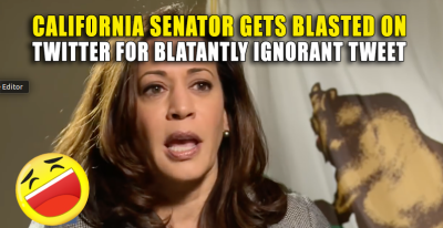 KAMALA-HARRIS-POLITICAL-WHORE-FOR-SILICON-VALLEY-Silicon-Valley-Tech-Oligarchs-And-Their-Operatives-ARE-The-Deep-State
Keywords: Big tech mobsters,Dark money payola, Rare Earth Mines, New America Foundation Corruption, Obama, Obama Campaign Finance, Obama FEC violations, Palo Alto Mafia, Paypal Mafia, Pelosi Corruption, Political bribes, Political Insider,  Eric Schmidt Sex Penthou
