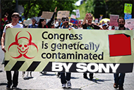 CONGRESSsony_-_Corruption_At_Sony.png