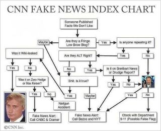 fake-news-chart_MEDIA_MANIPULATORS.jpg