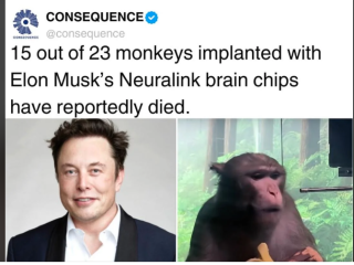 Filename=Musk_Murders_Monkeys.png
Filesize=304KiB
Dimensions=671x504
Date added=Sep 23, 2026 Musk_Murders_Monkeys.png