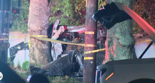 cybertruck_deaths.png