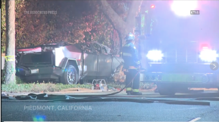 cybertruck_deaths_2.png