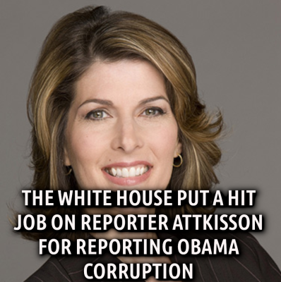 ATTKISSON SPEAKS FIGHT BACK
Keywords: Big tech mobsters,Dark money payola, Rare Earth Mines, New America Foundation Corruption, Obama, Obama Campaign Finance, Obama FEC violations, Palo Alto Mafia, Paypal Mafia, Pelosi Corruption, Political bribes, Political Insider,  Eric Schmidt Sex Penthou