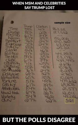 TRUMP POLL
Keywords: Big tech mobsters,Dark money payola, Rare Earth Mines, New America Foundation Corruption, Obama, Obama Campaign Finance, Obama FEC violations, Palo Alto Mafia, Paypal Mafia, Pelosi Corruption, Political bribes, Political Insider,  Eric Schmidt Sex Penthou