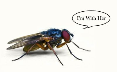 Hillary and The Fly  Silicon Valley Tech Oligarchs And Their Operatives ARE The Deep State
Keywords: DIRTY SENATORS AND DARK MONEY BRIBES, Big tech mobsters,Dark money payola, Rare Earth Mines, New America Foundation Corruption, Obama, Obama Campaign Finance, Obama FEC violations, Palo Alto Mafia, Paypal Mafia, Pelosi Corruption, Political bribes, Politi