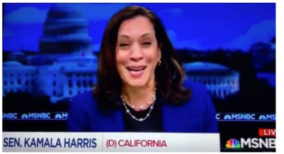 KAMALA-HARRIS-FAKE-FACE
Keywords: DIRTY SENATORS AND DARK MONEY BRIBES, Big tech mobsters,Dark money payola, Rare Earth Mines, New America Foundation Corruption, Obama, Obama Campaign Finance, Obama FEC violations, Palo Alto Mafia, Paypal Mafia, Pelosi Corruption, Political bribes, Politi