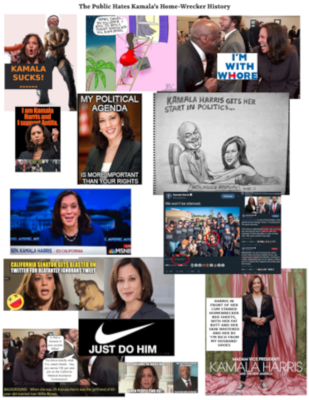 kamalaxxx.resized
Keywords: DIRTY SENATORS AND DARK MONEY BRIBES, Big tech mobsters,Dark money payola, Rare Earth Mines, New America Foundation Corruption, Obama, Obama Campaign Finance, Obama FEC violations, Palo Alto Mafia, Paypal Mafia, Pelosi Corruption, Political bribes, Politi
