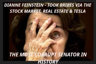 CRIMINAL_FEINSTEIN_DDDD.png