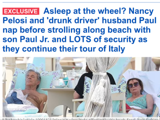 THE_PELOSI_DRUNKS.png