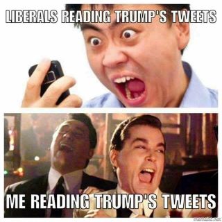 Filename=trumptweets.jpg
Filesize=91KiB
Dimensions=960x960
Date added=Sep 23, 2026 trumptweets.jpg