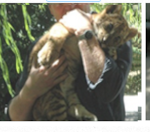 ANIMAL-RESCUE CENTER SPONSOR ANIMAL-RESCUE CENTER SPONSOR