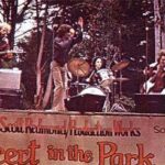 SuperGuy__concertinpark1